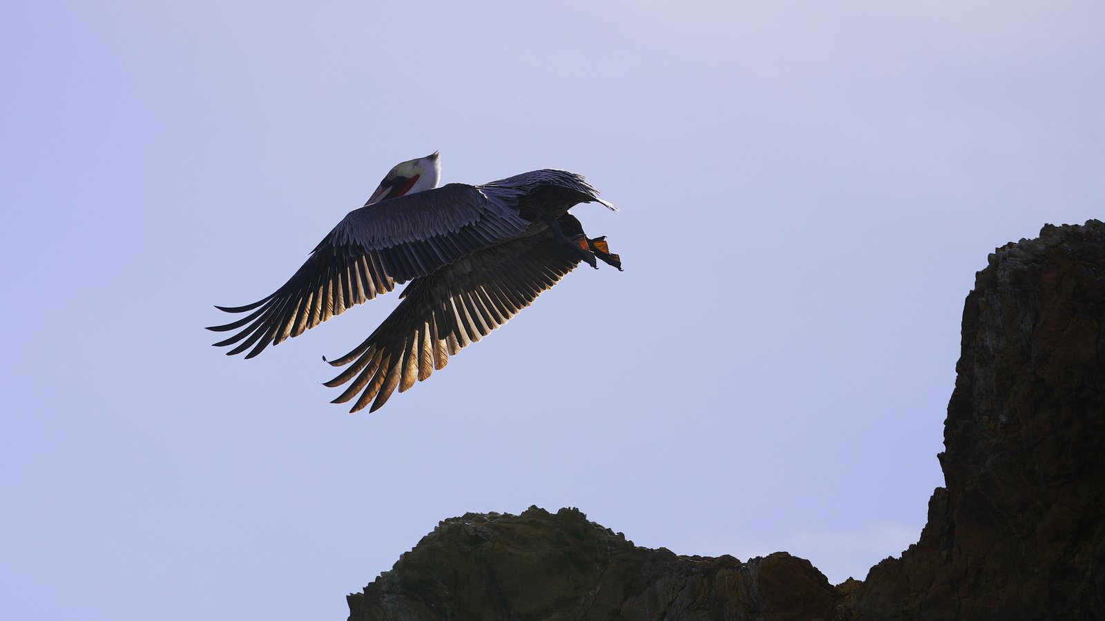 Coming in to land
