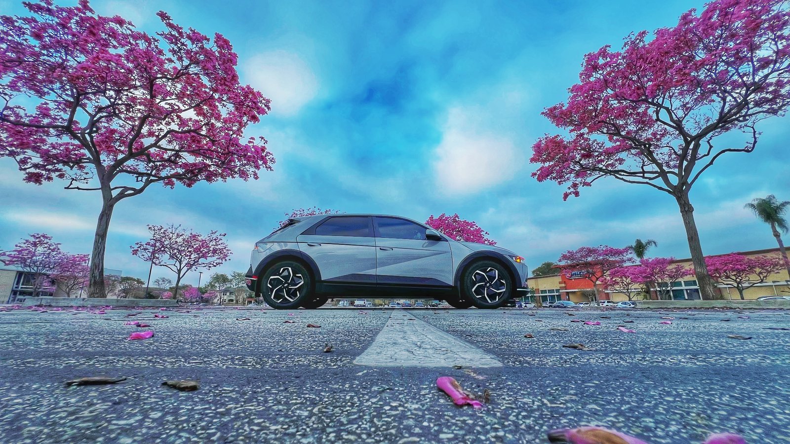 Ioniq 5 beneath blossom trees